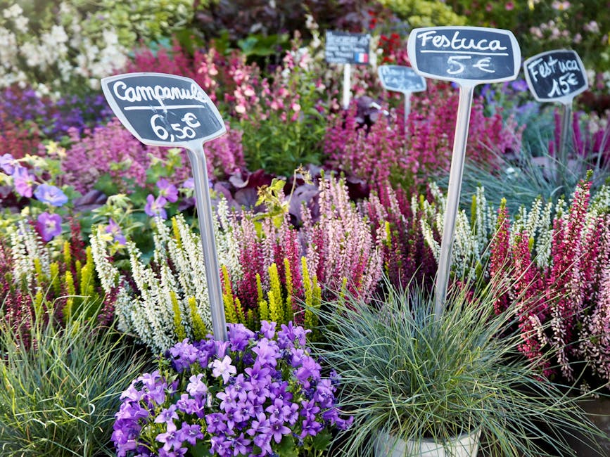 A colorful display of various flowering plants at a garden centre, featuring purple petunias in a white pot among tall clusters of white, pink, yellow, and purple heathers. Two small chalkboard signs 